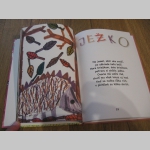 ABECEDOZVEROVEDA  detská knižka s riekankami o zvieratkách autor Josko Mišún z kapely Načo Názov, ilustrovala Jelka Mišúnová 63strán 