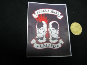 Punks and Skins United  nálepka 10x7cm