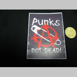 Punks not Dead nálepka 10x7cm