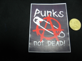 Punks not Dead nálepka 10x7cm