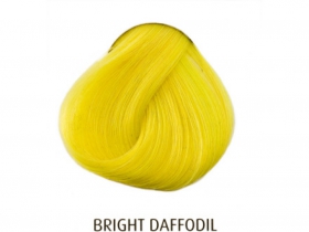 BRIGHT, Farba na vlasy značka Directions, cena za jednu krabičku s objemom 88ml.